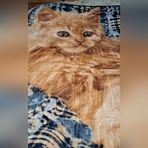 Royal Plush Raschel Kitten  Throw By Greg Cuddiford